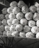 ShaneLavalette_Fair_03