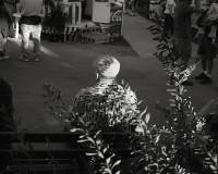 ShaneLavalette_Fair_08