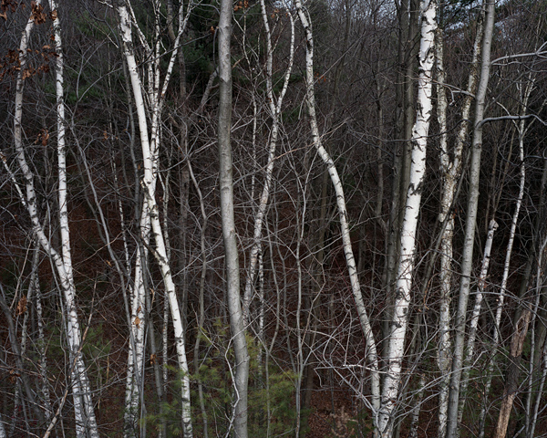 ShaneLavalette_Northeast_05