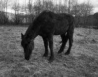 ShaneLavalette_Northeast_21
