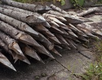 ShaneLavalette_Northeast_22