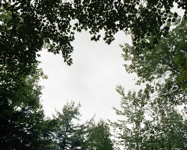 ShaneLavalette_Northeast_24