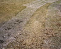 ShaneLavalette_Northeast_26