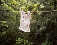 ShaneLavalette_Northeast_30