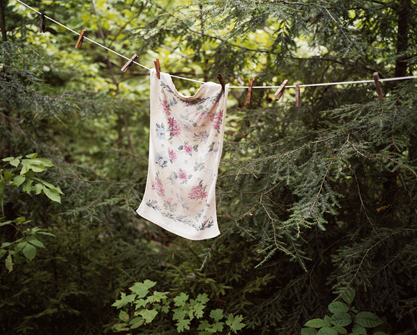 ShaneLavalette_Northeast_30
