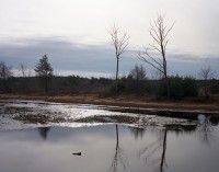 ShaneLavalette_Northeast_32