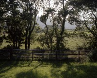 ShaneLavalette_SlinaBoirne_11