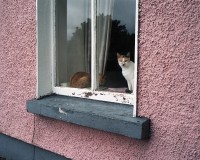 ShaneLavalette_SlinaBoirne_35