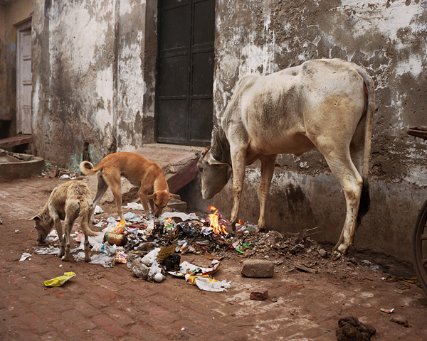 ShaneLavalette_WakingVrindavan_13