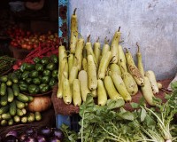 ShaneLavalette_WakingVrindavan_14