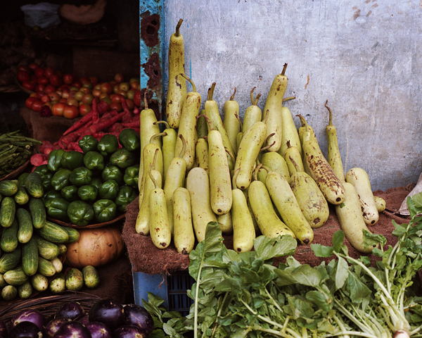 ShaneLavalette_WakingVrindavan_14