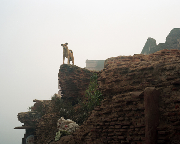 ShaneLavalette_WakingVrindavan_25